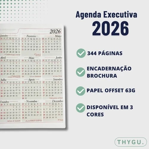 Agenda 2026 Executiva Diária Couro Anual Planner 344 Folhas